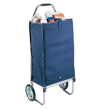 Deluxe Foldaway Carryall-303208
