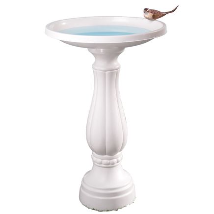 Bird Bath     XL-338269