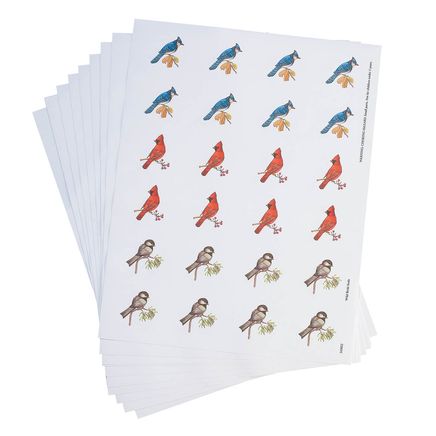 Wild Birds Seals 250-343022