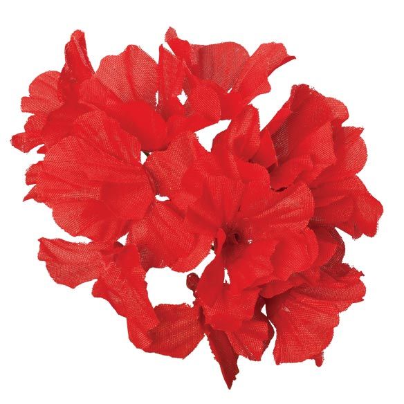 All-Weather Red Geranium Bush by OakRidge™-348129
