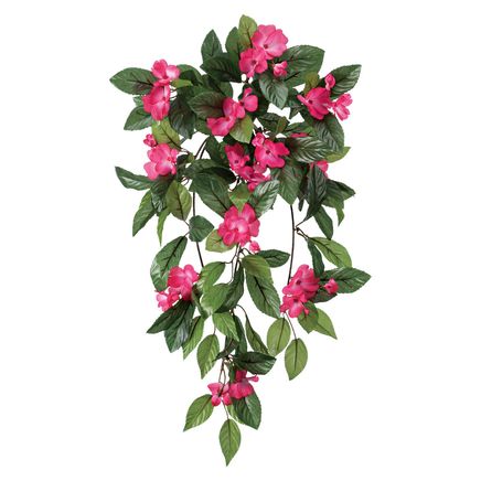 Impatiens Hanging Stem by OakRidge™-355285