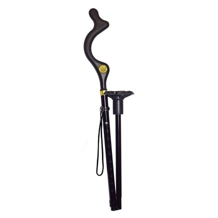 As Seen on TV Campbell Posture Cane-368020