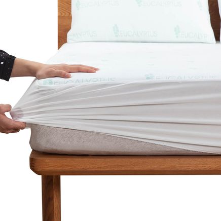 Eucalyptus Scented Mattress Cover by OakRidge™-374578