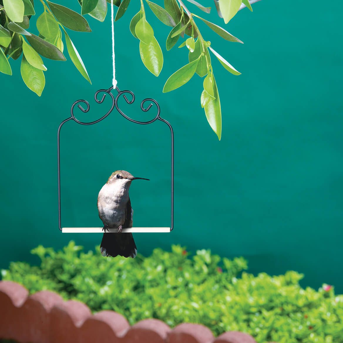 Hummingbird Swing-375262