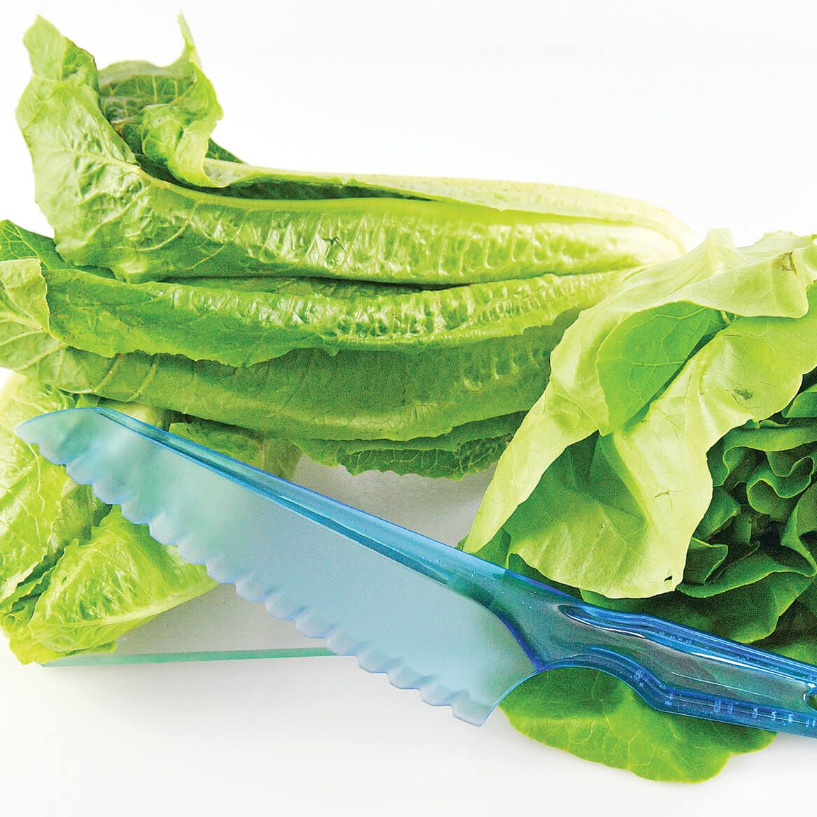 Lettuce Knife-375276