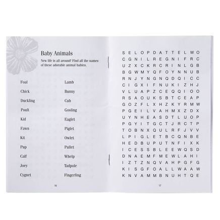 Word Searches for All Seasons, Set of 4-376442