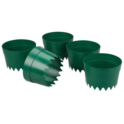 Protective Plant Rings, Set of 5-378188
