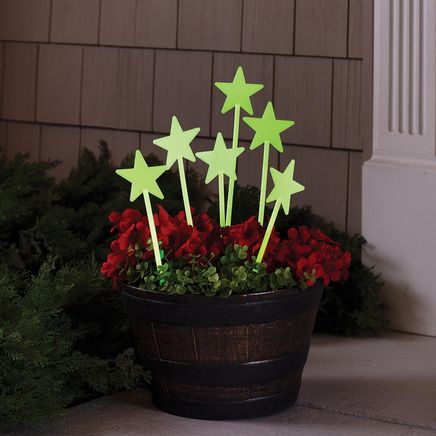 Glow-In-The-Dark Star Stakes, Set of 6-378191