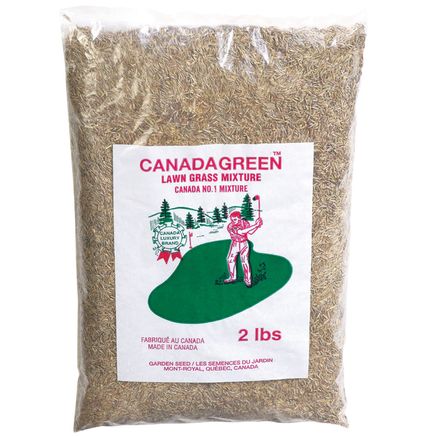 Canada Green Grass Seed 2 Lbs.-379673