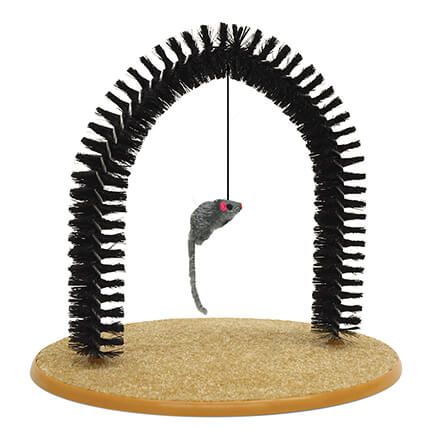Playtime Cat Arch-352703
