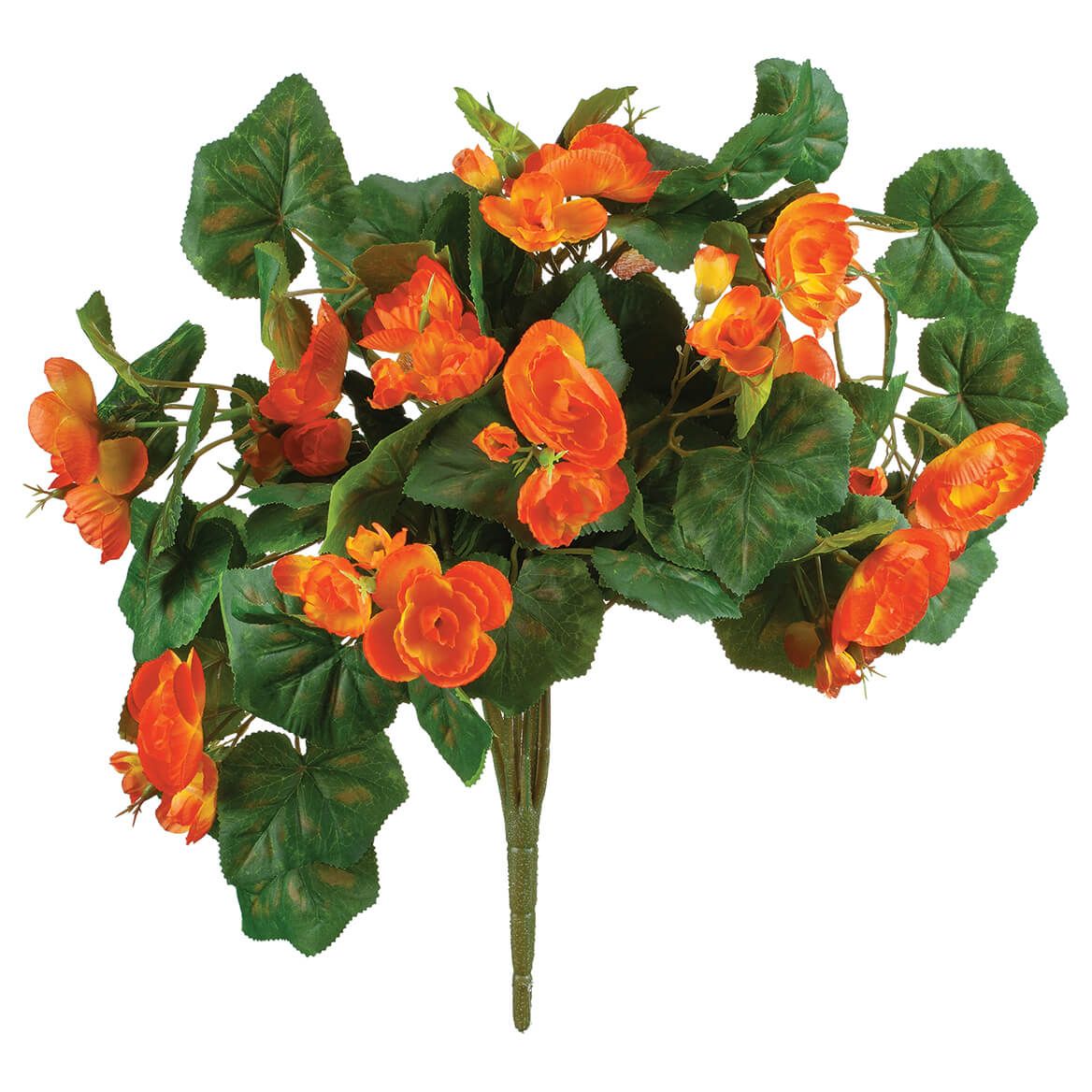 Begonia Hanging Stem by OakRidge™ + '-' + 355287