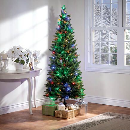 6' Pre-Lit Fraiser-Like Tree by Holiday Peak™     XL-356284