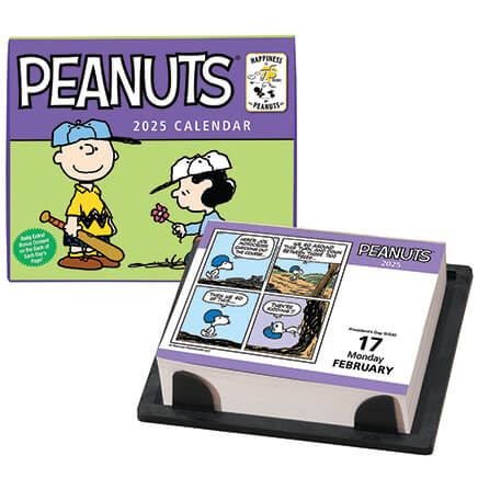Peanuts® Day to Day Calendar-360187