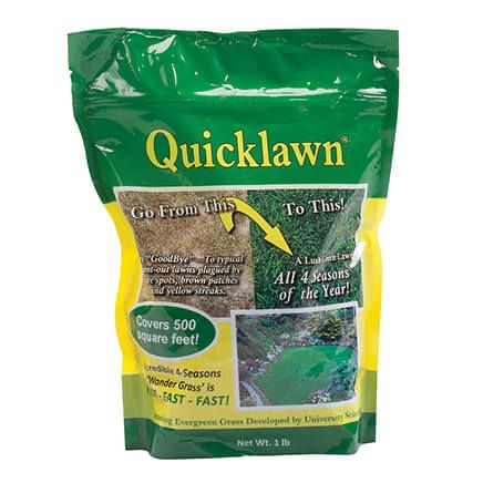 Quicklawn® Grass Seed, 1 lb.-367069