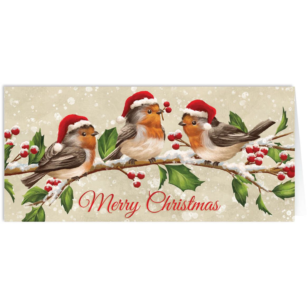 Personalized Birds with Hats Christmas Card Set of 20 + '-' + 368257