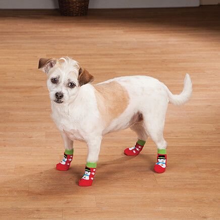 Christmas Dog Socks, Set of 2-368422