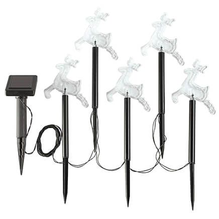 Solar Reindeer Stake Lights by Fox River™ Creations, Set of 5-373663