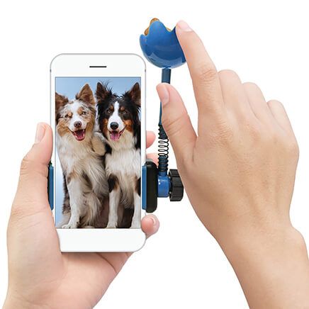 Picture This Treat Launchers, Set of 2-373854