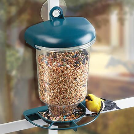 Window Bird Feeder-375204