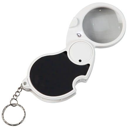 Lighted Magnifier-376130