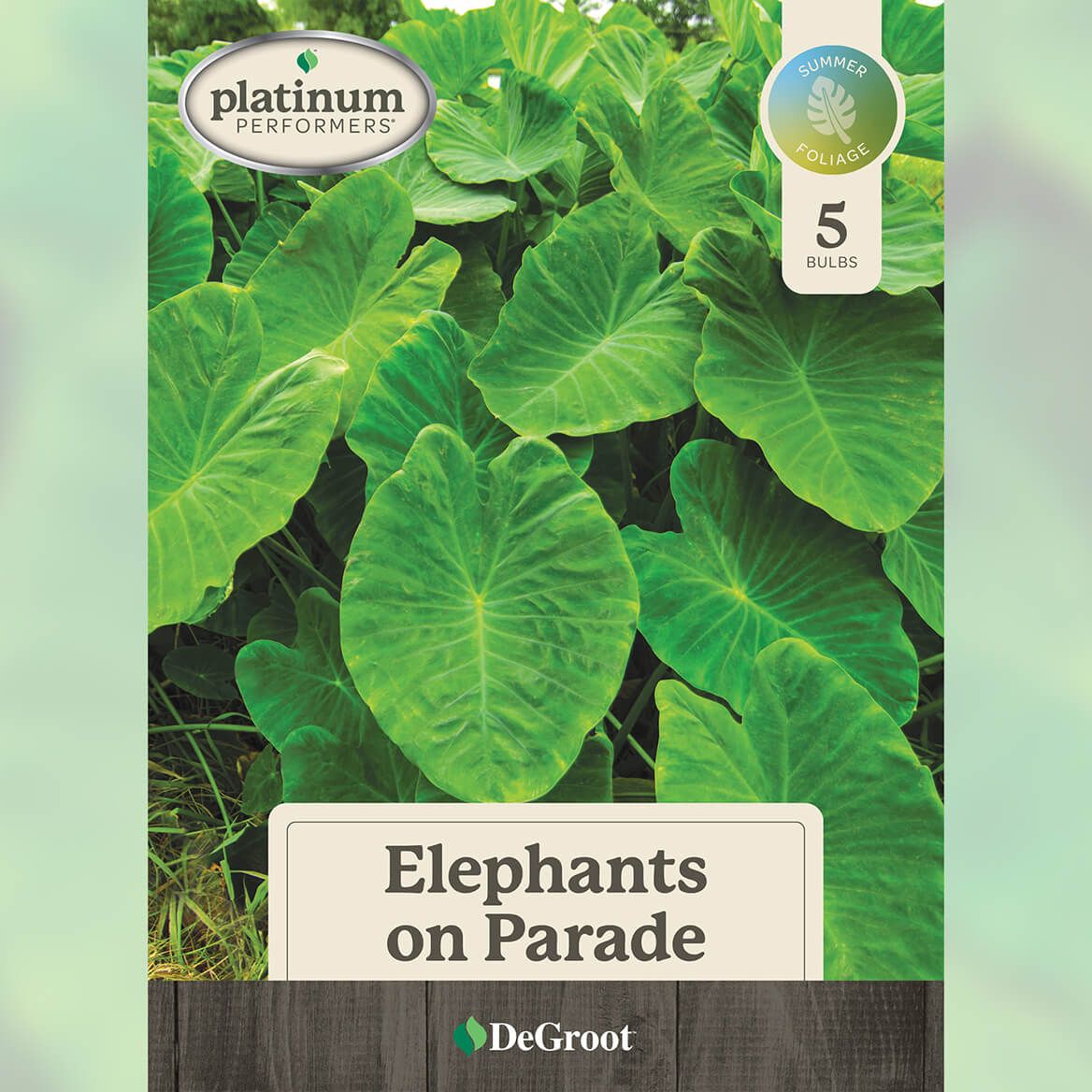 Elephants on Parade Plant Mix + '-' + 376454