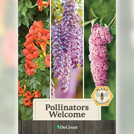 Pollinators Welcome Plant Mix-376457
