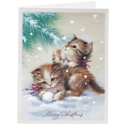 Non-Personalized Wonder and Joy Christmas Cards, Set of 20-377671