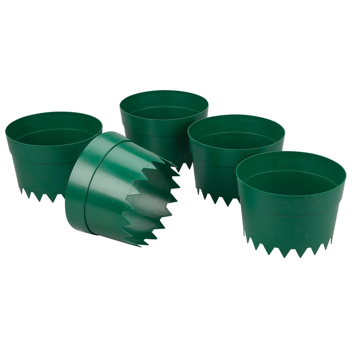 Protective Plant Rings, Set of 5 + '-' + 378188