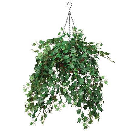 Fully Assembled Ivy Hanging Basket by OakRidge™-378766