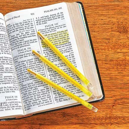 Yellow Bible Dry-Liters, Set of 3-379251