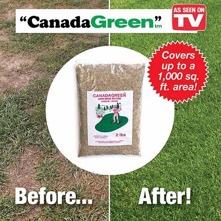 Canada Green Grass Seed 2 Lbs.-379673
